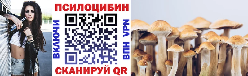 Псилоцибиновые грибы GOLDEN TEACHER  Туапсе 
